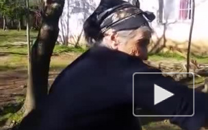 Подростки в Грузии обстреляли бабушку ради смеха