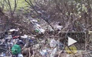 Градозащитники нашли "помоище" на углу Яхтенной и Камышовой улиц