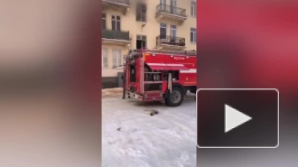 Кот спас жизнь 87-летней пенсионерки во время квартирного пожара в Волхове