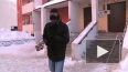 Тео на снегу. Как петербургские африканцы спасаются ...