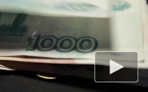 Жителей Ленобласти получают зарплату меньше на 1,9%, но стали богаче