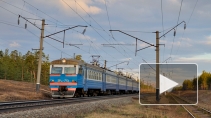 Под Калининградом молодой девушке поездом отрезало голову