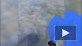 "Медузный остров" в Азовском море сняли на видео