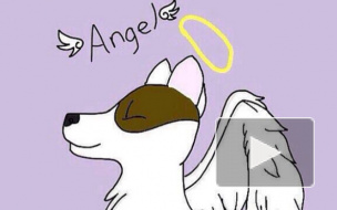 Ripangel сменилось на #ихзабралинебеса, когда убийцы пообещали изуродовать щенка, набрав 500 тысяч хэштегов