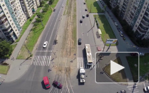 Дыхание Петербурга: интересные новости начала августа