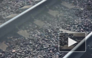  В Подмосковье продолжают искать хулигана, который угнал электричку из депо в Лобне