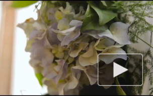 В правительстве планируют скорректировать брачный возраст