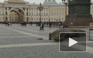 На Дворцовой площади появился гигантский ящер от художника Вадима Соловьева