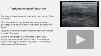 Мартынова Ю. Г. "Диагностика патологий поджелудочной железы с помощью УЗИ"