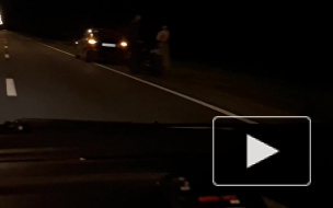 На Приморском шоссе байкер попал в смертельное ДТП с лосем 