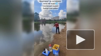В Петербурге нет пригодных для купания водоемов