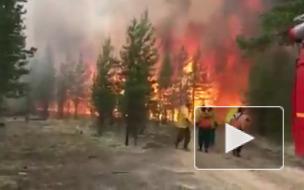 На окраине города Югорска в ХМАО загорелся лес