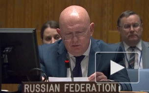 Небензя: Россия не использует ядерные объекты на Украине в военных целях