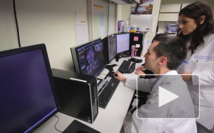 Петербургские врачи научились лечить рак при помощи стволовых клеток