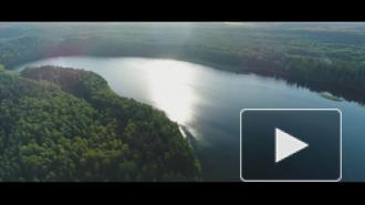 Киркоров, Басков и другие артисты записали клип с цитатой Лукашенко