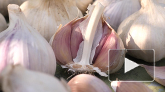 Коронавирус может вызвать дефицит чеснока в России