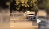 Иномарка вылетела на тротуар и пробила ограждение на проспекте Юрия Гагарина