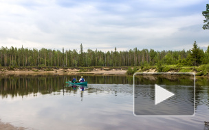 Пропавшую на рок-фестивале школьницу нашли мертвой в карельском болоте