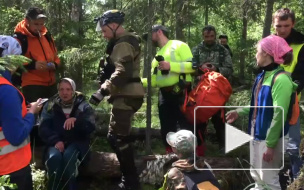 Петербургские добровольцы спасли 79-летнюю пенсионерку, которая потерялась в лесу