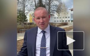 Стая собак загнала российских школьников на дерево