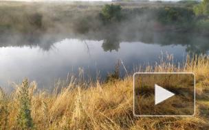 В Саратовской области водолазы нашли тело утонувшего в машине ребенка 