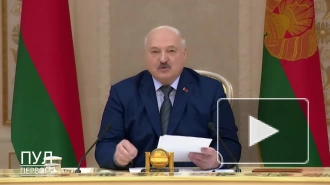 Лукашенко заявил о возможности увеличить товарооборот с Ленобластью до $2 млрд