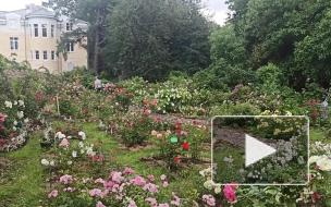 Видео: Ботанический сад снова принимает посетителей