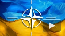 Ситуация на Украине сегодня: Рада рассматривает предложение о вступлении в НАТО