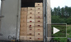 В Псковской области белорусский водитель угнал с таможни грузовик санкционных помидоров