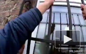 Попытка руфера взобраться на шпиль Апраксина двора закончилась неудачей