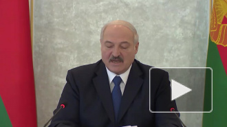 Лукашенко призвал к гибкому формированию цены на природный газ