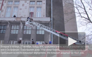 В Сестрорецке мужчина заживо сгорел из-за непотушенной сигареты