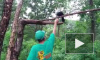 В Приморском сафари-парке ворона разговаривает на английском языке