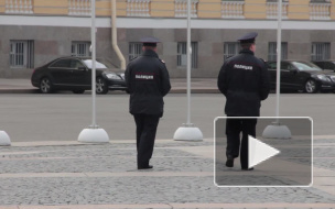 Голая петербурженка своим телом пыталась остановить машину с воровкой денег