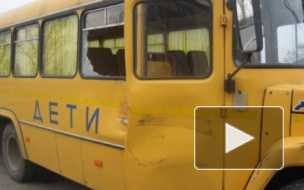 Пьяный водитель протаранил автобус со школьниками в Приморье. Пять детей ранены