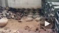 В Энергодаре нашли сеть схронов с 300 минами