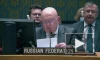 Небензя: Запад совершает военное преступление, наводняя Украину оружием