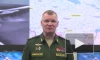 Минобороны РФ: российские ВКС нанесли удар по украинским военным, высадившимся на остров Змеиный