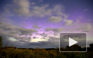 Видео: Полярное сияние над Омском восхитило жителей