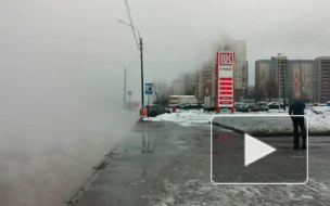 Почти Silent Hill: появилось видео последствий прорыва трубы на Комендантском проспекте