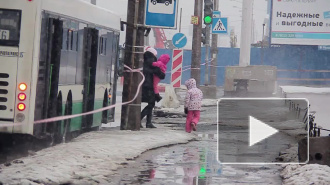 На Бухарестской улице прорвало трубу горячего водоснабжения, вода вытекала на проезжую часть