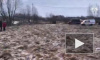Видео: В Тверской области в реке нашли тело пропавшей 7-летней девочки 