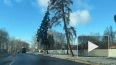 На Крестовском острове завершили снос сгоревшего фитнес-...