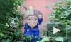 "Небесные Бродяги" показали Миядзаки: как выглядит тот самый сад на Биржевой линии