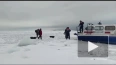На Финском заливе с отколовшейся льдины спасли 10 ...