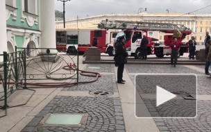 Четыре эрмитажных кота задохнулись во время пожара в Зимнем дворце