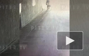Петербуржец напал на девушку в лифте 