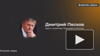 Песков: чиновники будут только приветствовать в своих рядах "мужиков"-ветеранов СВО