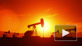 Цена нефти марки Brent упала ниже 25 долларов за баррель